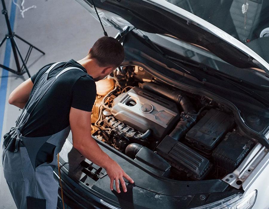 Revisão Programada Revisão Programada